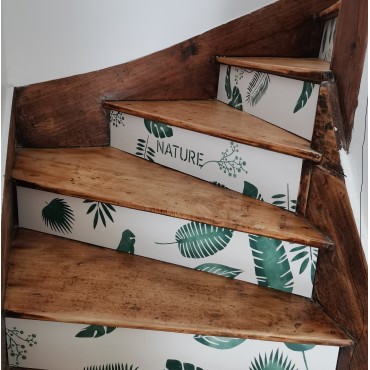 Kit nature DIY - décoration... 2