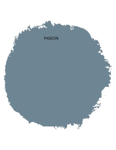 pigeon